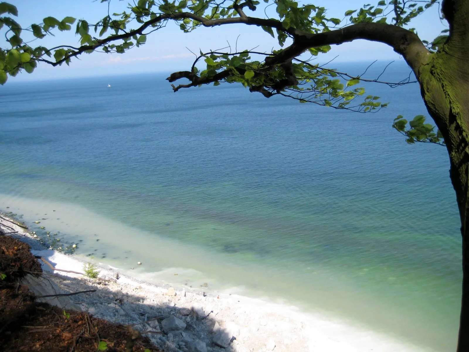 Rügen Mai 2008 249.jpg