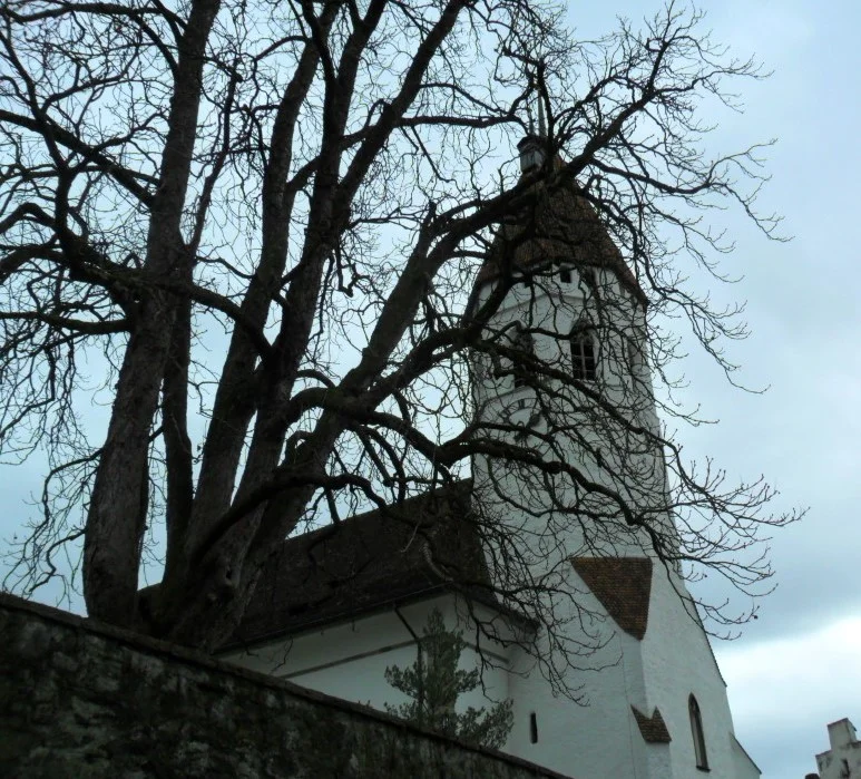 SAM_0040.jpg