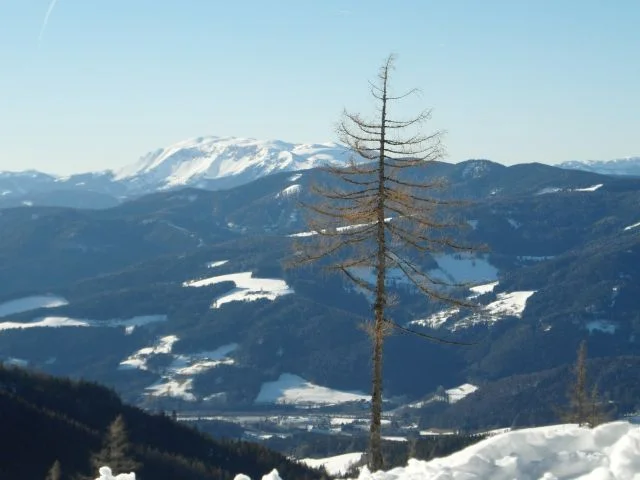 SAM_1347