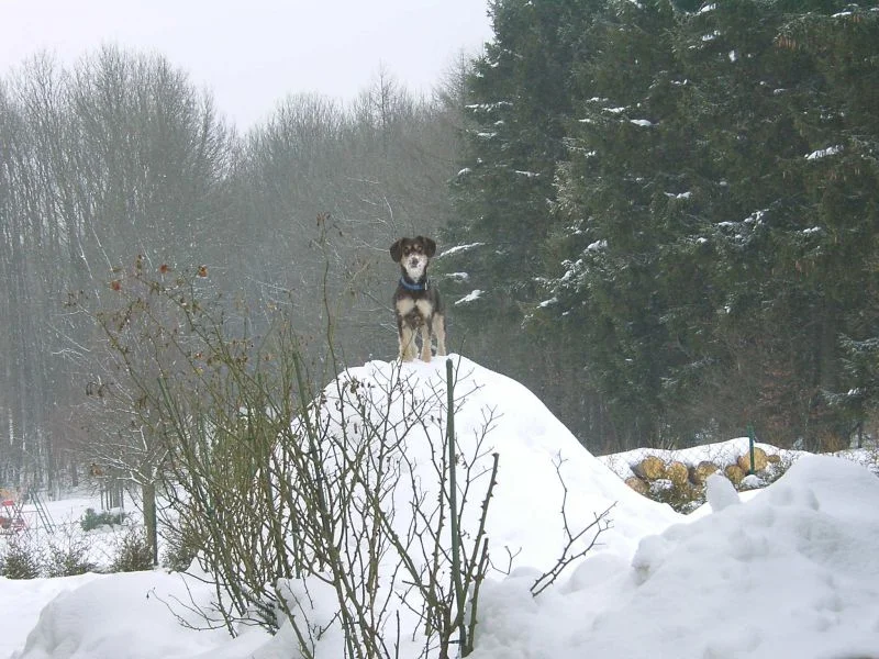 Schaut her ich bin Emely