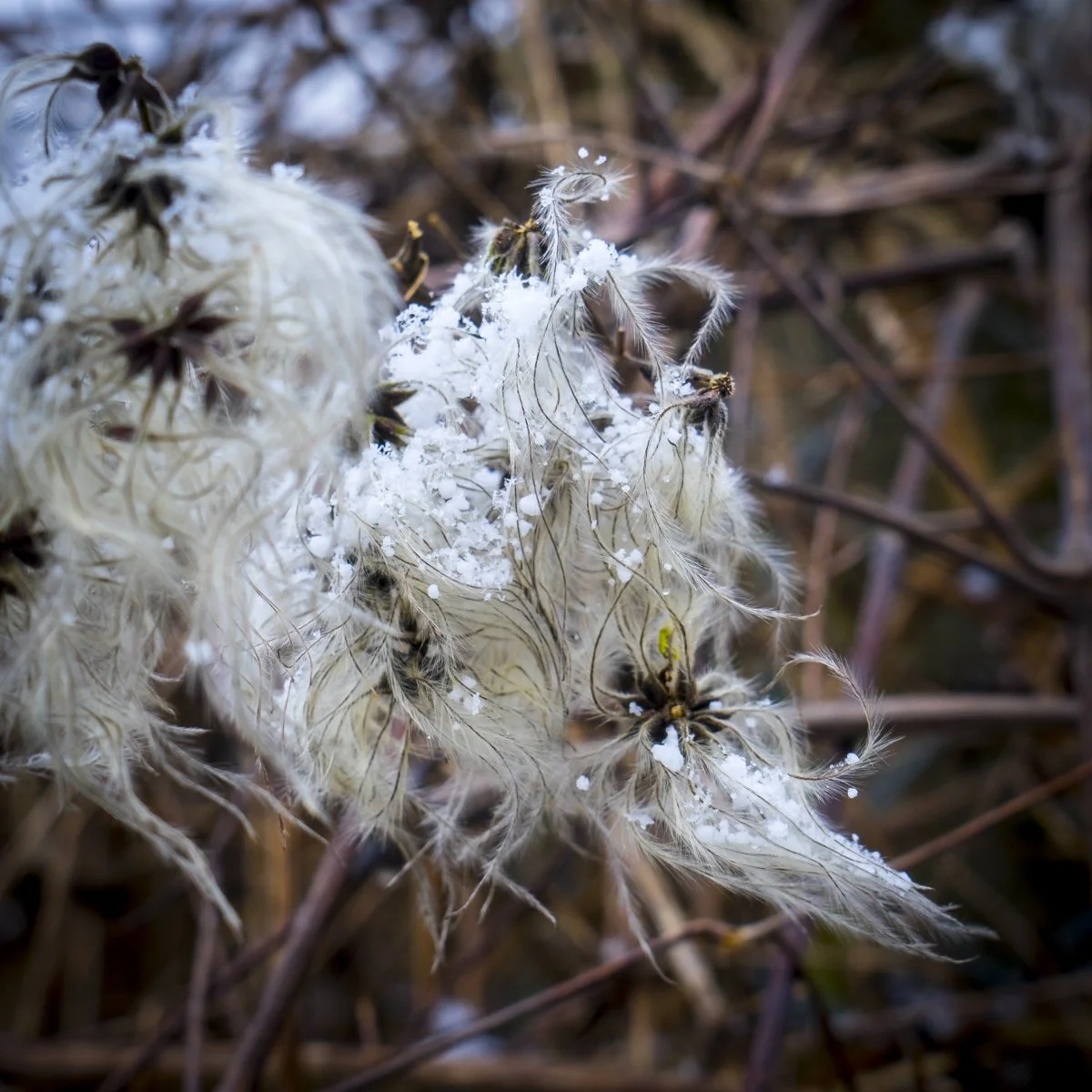 Schönbergausflug (2 von 6).jpg