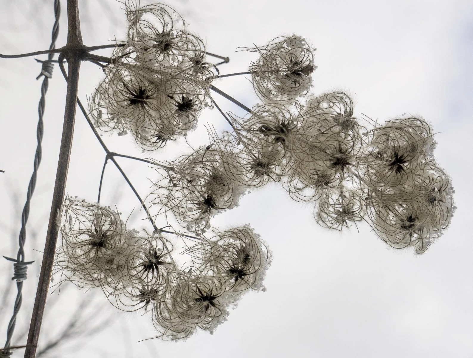 Schönbergausflug (3 von 6).jpg