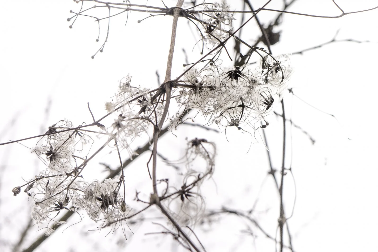 Schönbergausflug (4 von 6).jpg