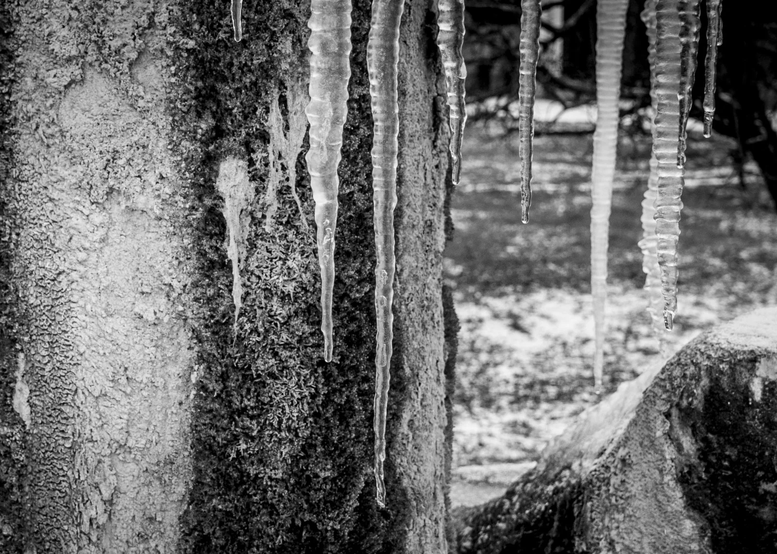 Schönbergausflug (6 von 6).jpg