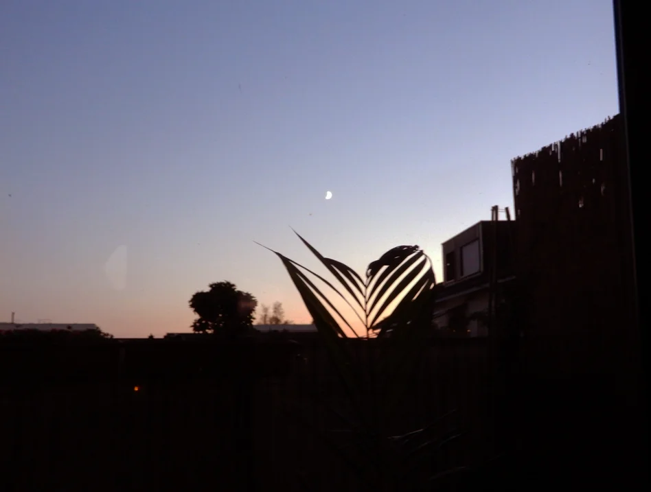 Screenshot 2024-08-09 212713.webp