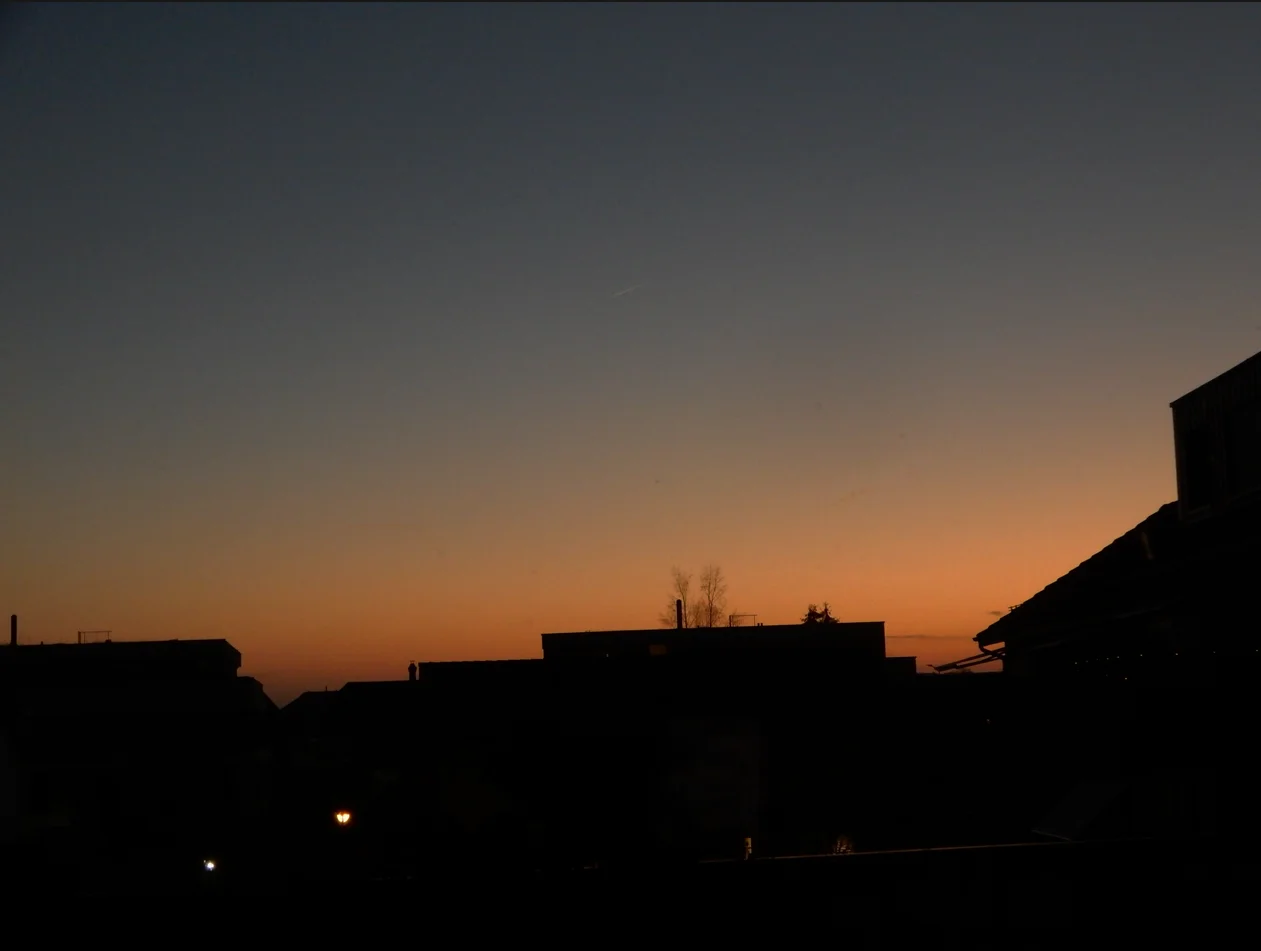 Screenshot 2024-11-01 174735.webp