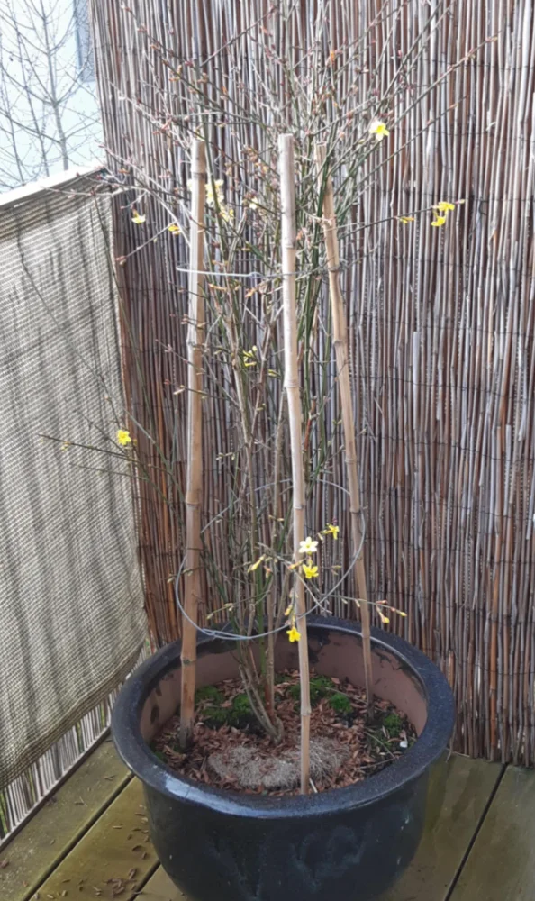 Screenshot 2025-12-22 170758.webp