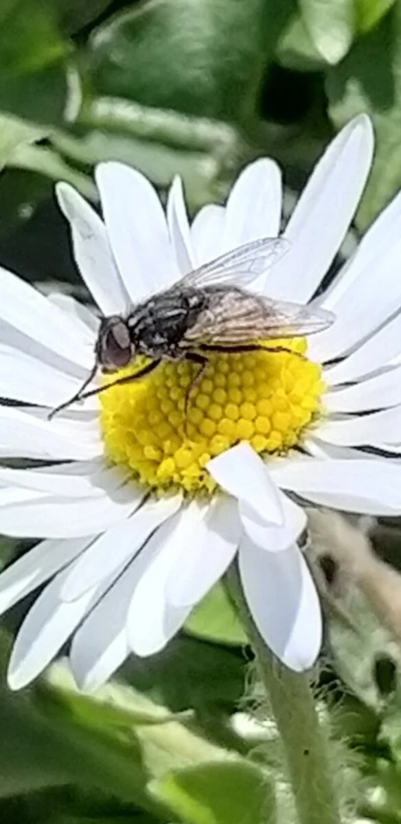 Screenshot_20220411-142525_Gallery.jpg