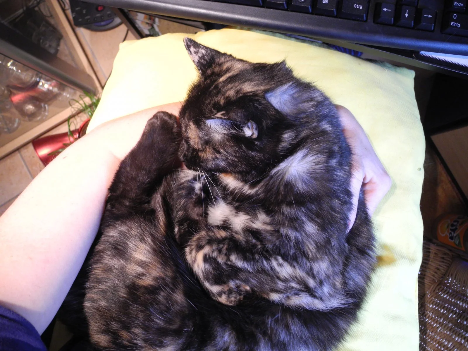 Sheila 2014 013