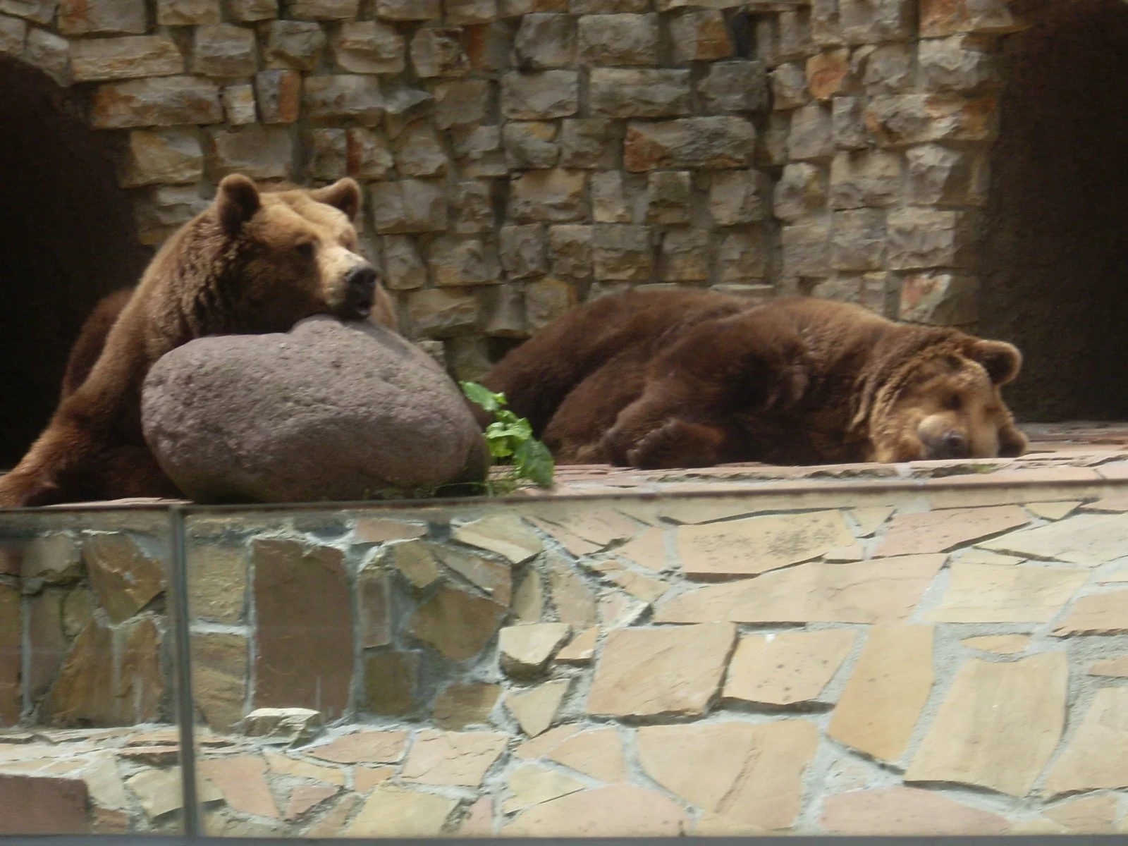 SL381368 (2015_01_26 19_39_25 UTC).JPG