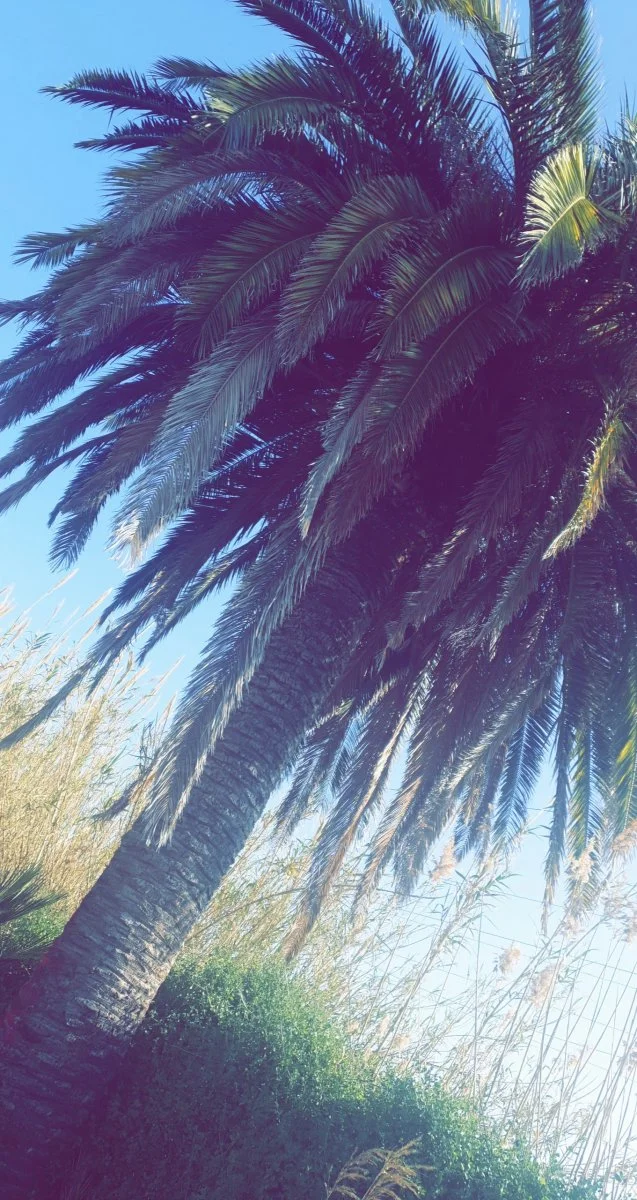 Snapchat-234935926.jpg