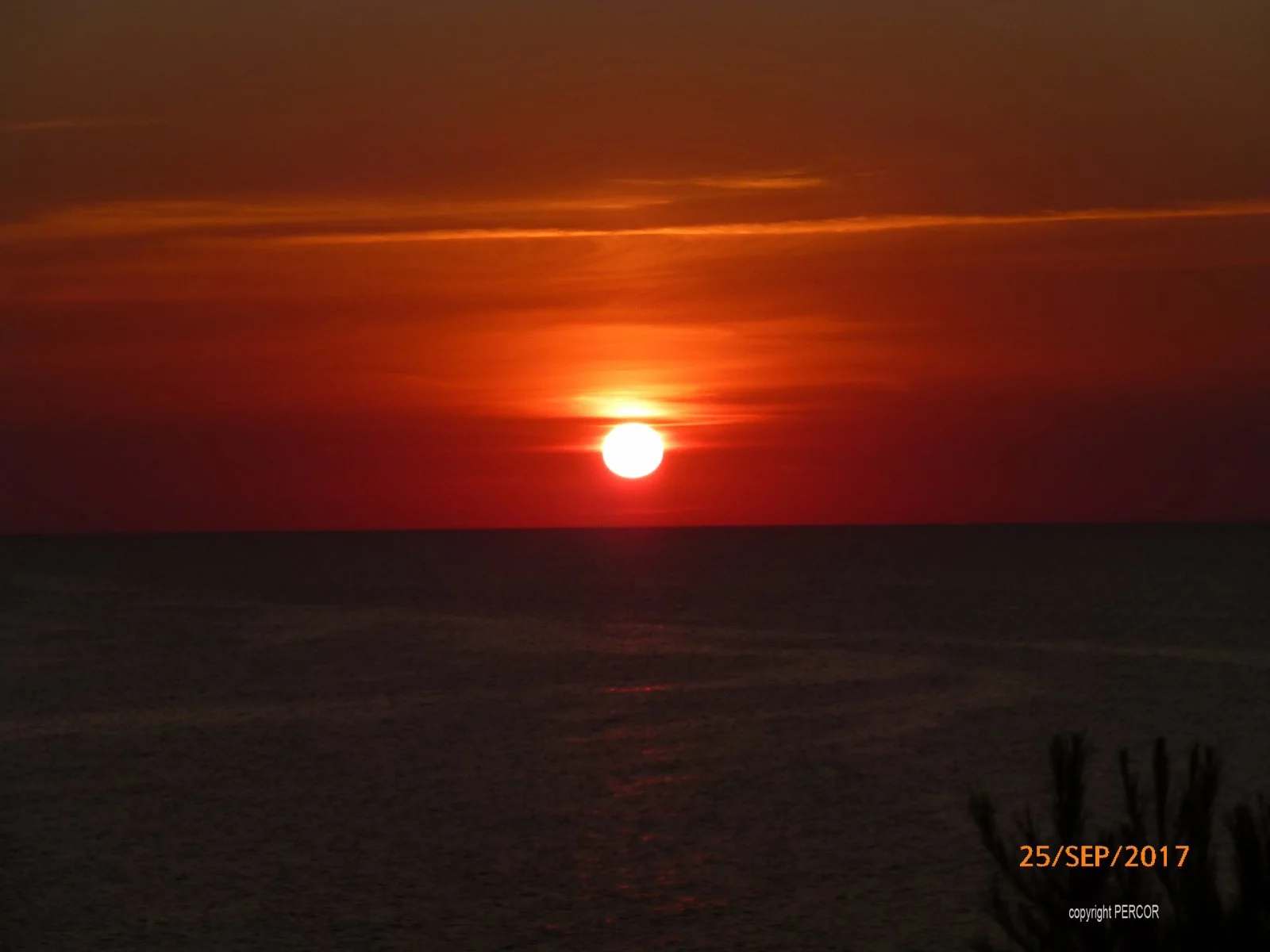 Sonnenaufgang.jpg