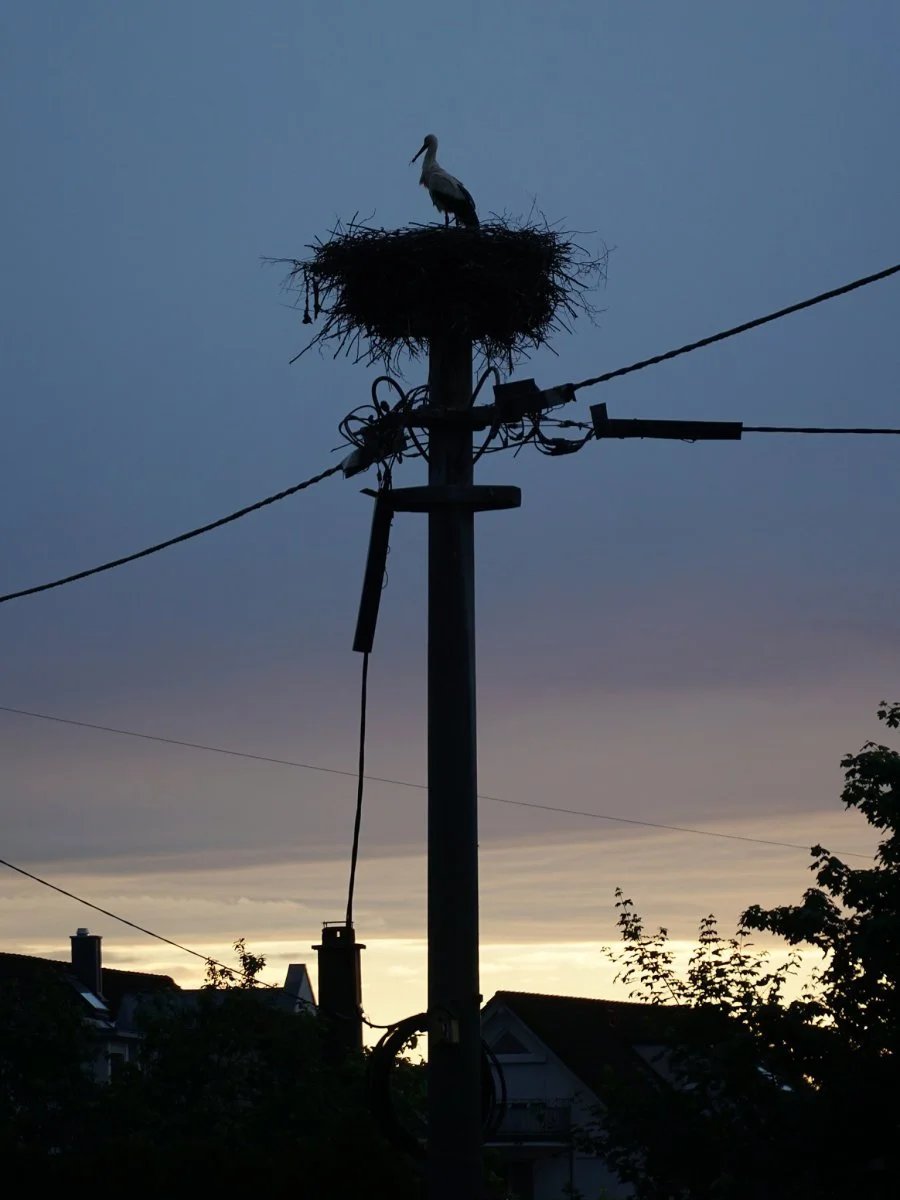 Spaichingen-AOK_DSC01645-low.jpg