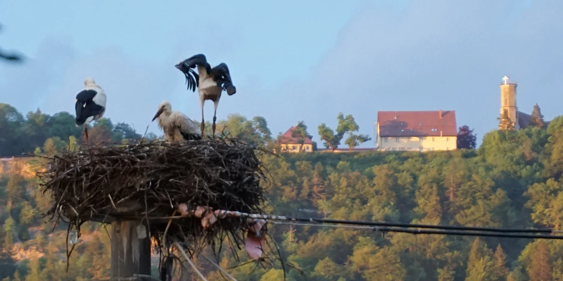 Spaichingen-Rathaus_DSC01653-beschn_low.jpg