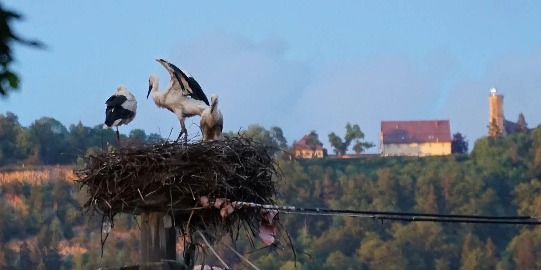 Spaichingen-Rathaus_DSC01656-beschn_low.jpg