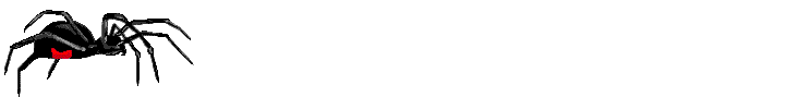 spinne_0116.gif