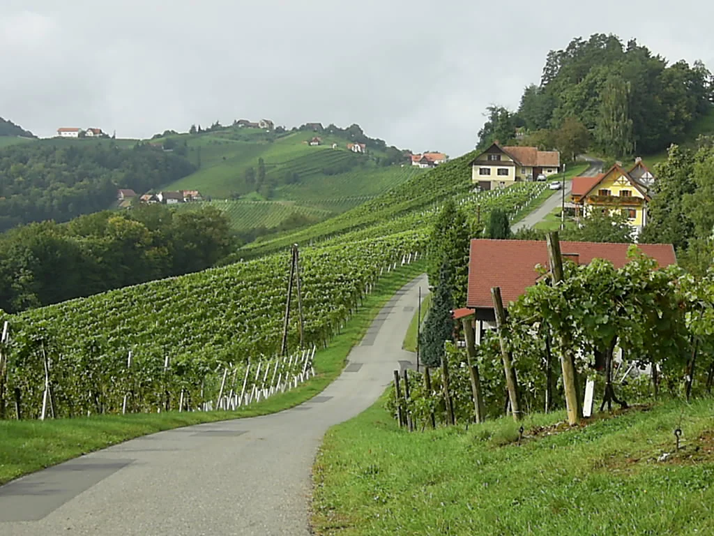 steiermark 3.JPG