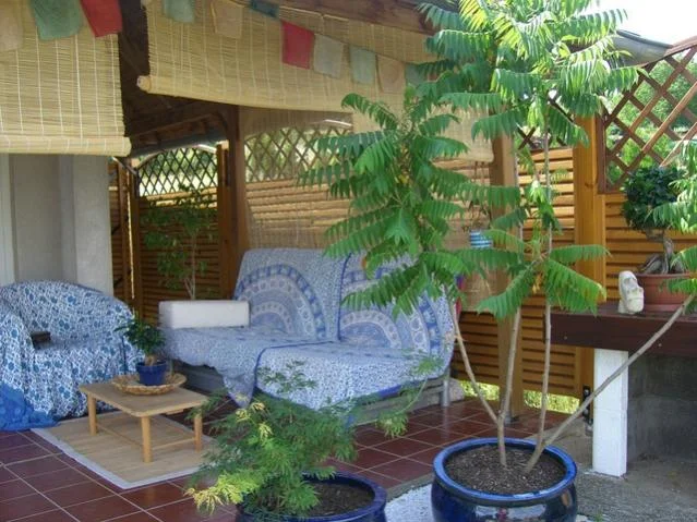 Terrasse 1.jpg