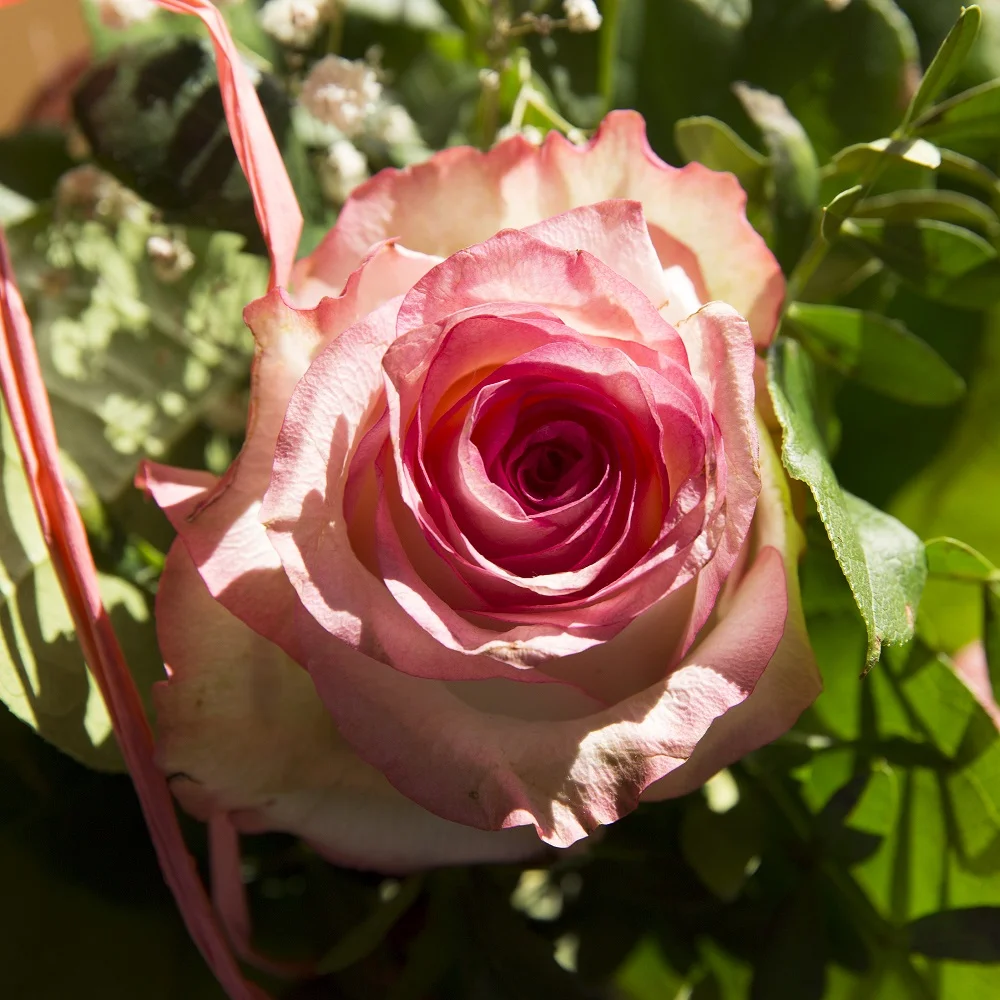 Test EOS 5dIII (3 von 6).jpg