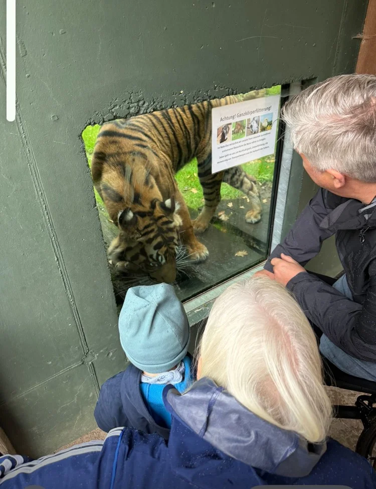 tiger.webp