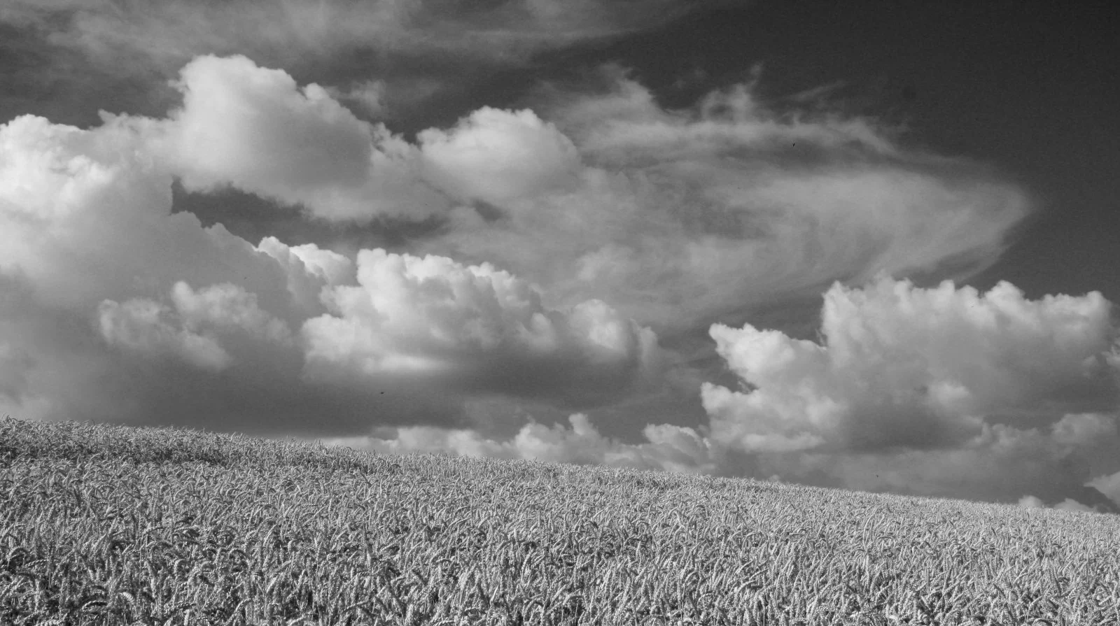 Timmendorfer Strand 25.7.2010 051 - Kopie.jpg