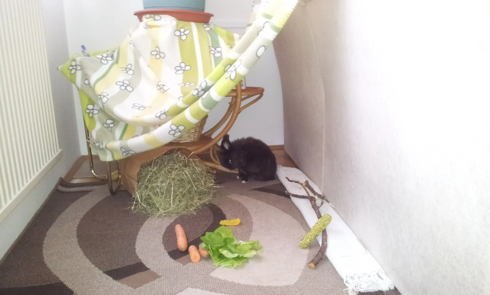 Unser lieber Chepetto