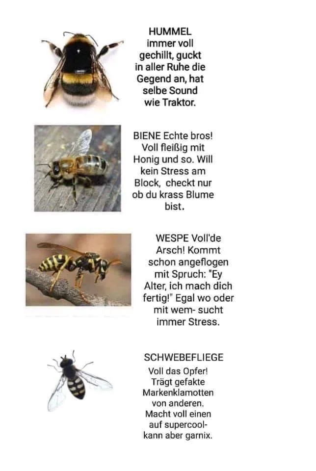 unterschied.jpg