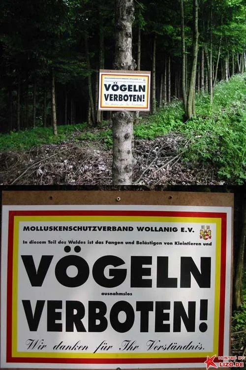 vögeln verboten.jpg