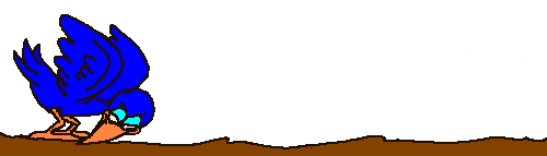 vogel-raben-012.gif