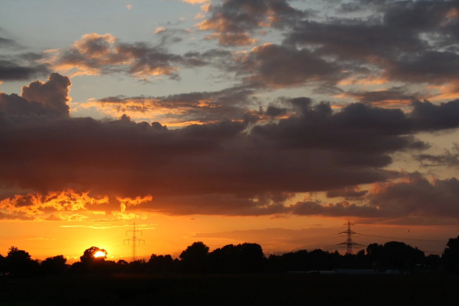 Vorderdeich 2.9.2010 012.jpg