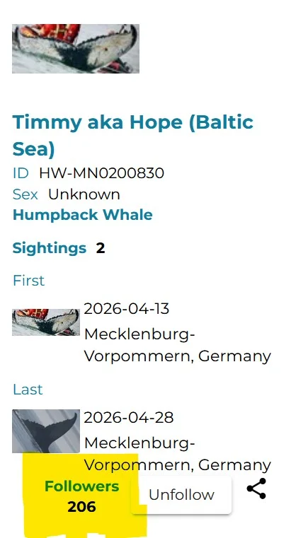 Wal-Timmy_HappyWhale-Profil.webp