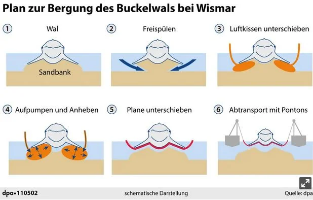 wal.webp