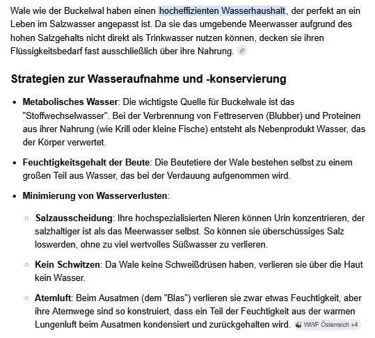 Wal1.webp