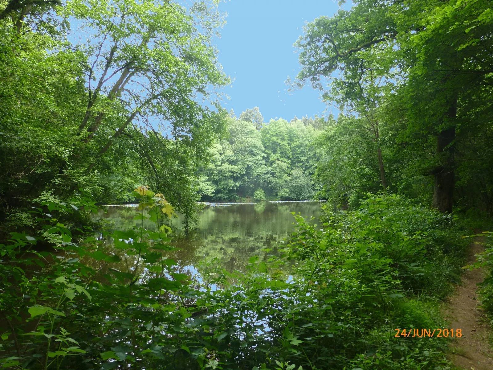 Waldsee1..jpg