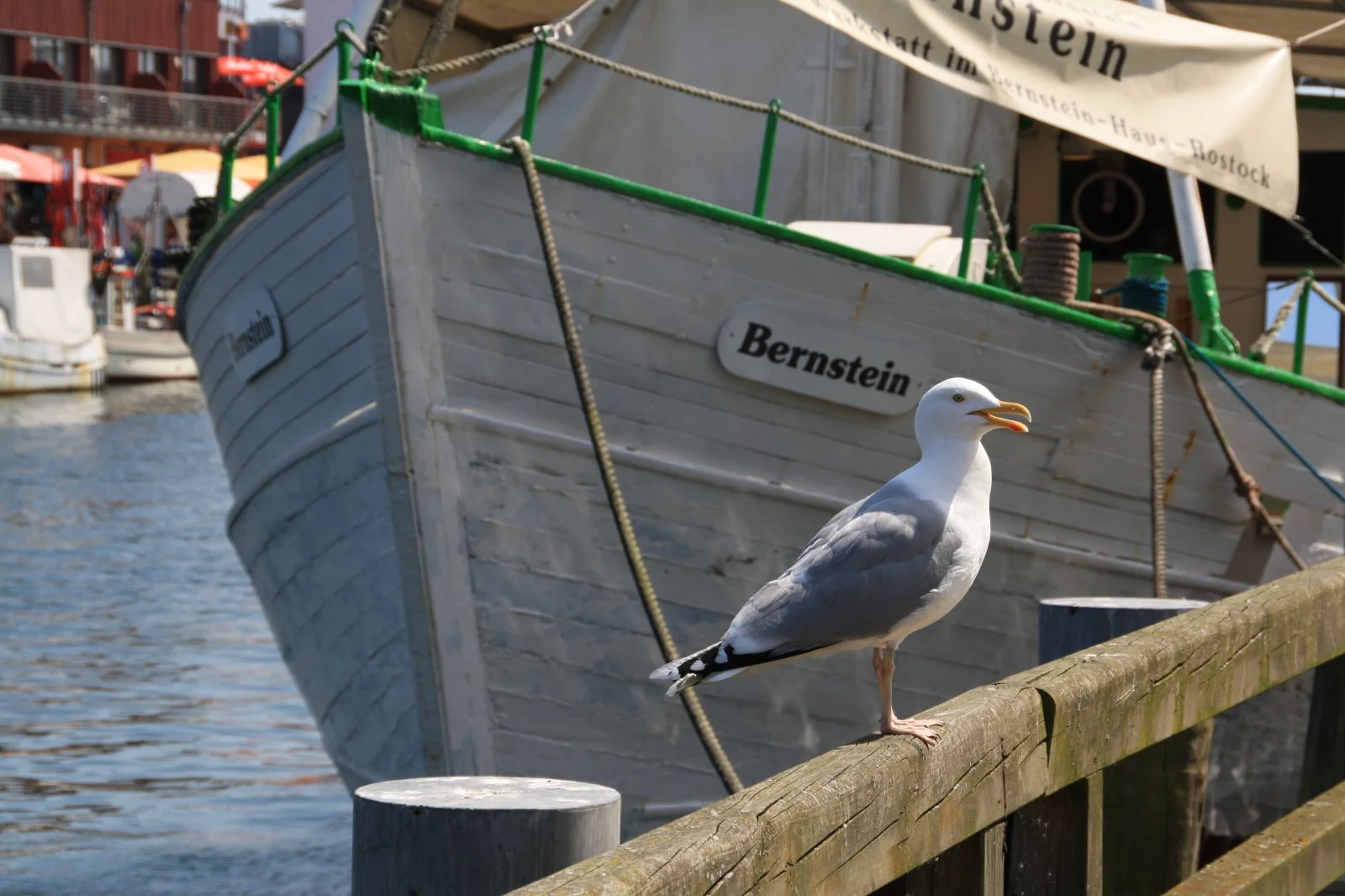 Warnemünde 20.05.2012 076.jpg