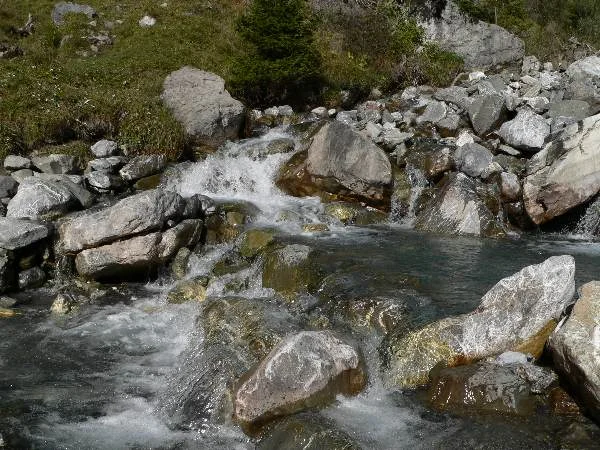 Wasser ist Leben