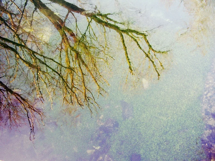 Wasser