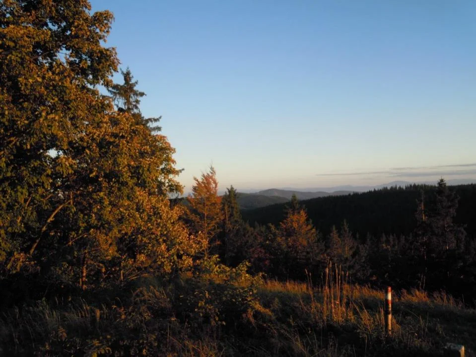 weiterer_Blick_vom_Weinsberg.jpg