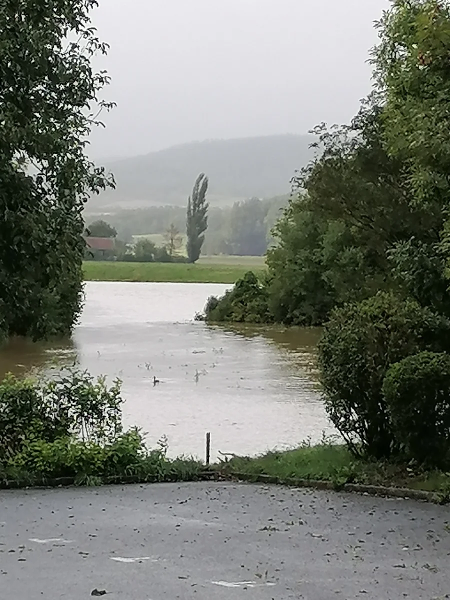 Wiese unter Wasser.webp
