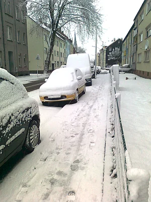 Winter 2