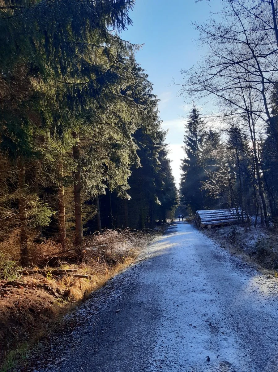 Winter in der Heide 2