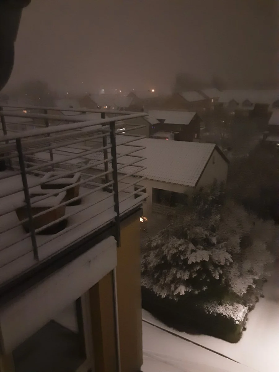 Winter.jpg