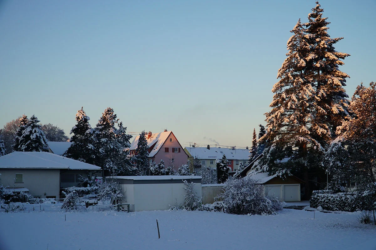 Winter_03Dez2023_DSC01565-low.jpg