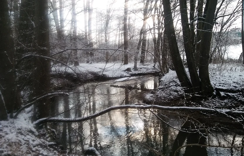 Winter_Sulzbach_1.jpg