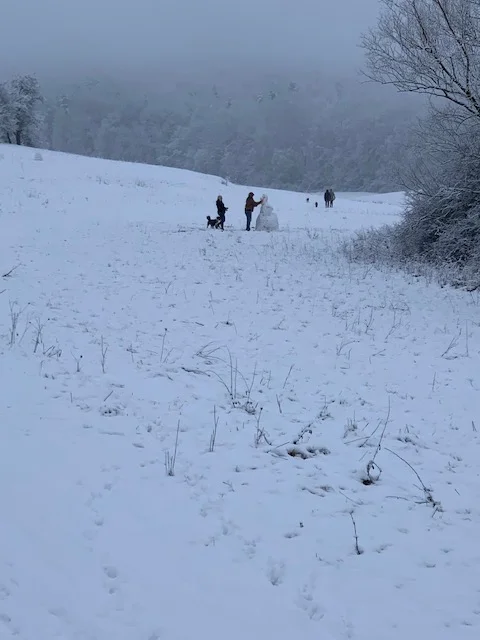 winterwonderland1.jpg