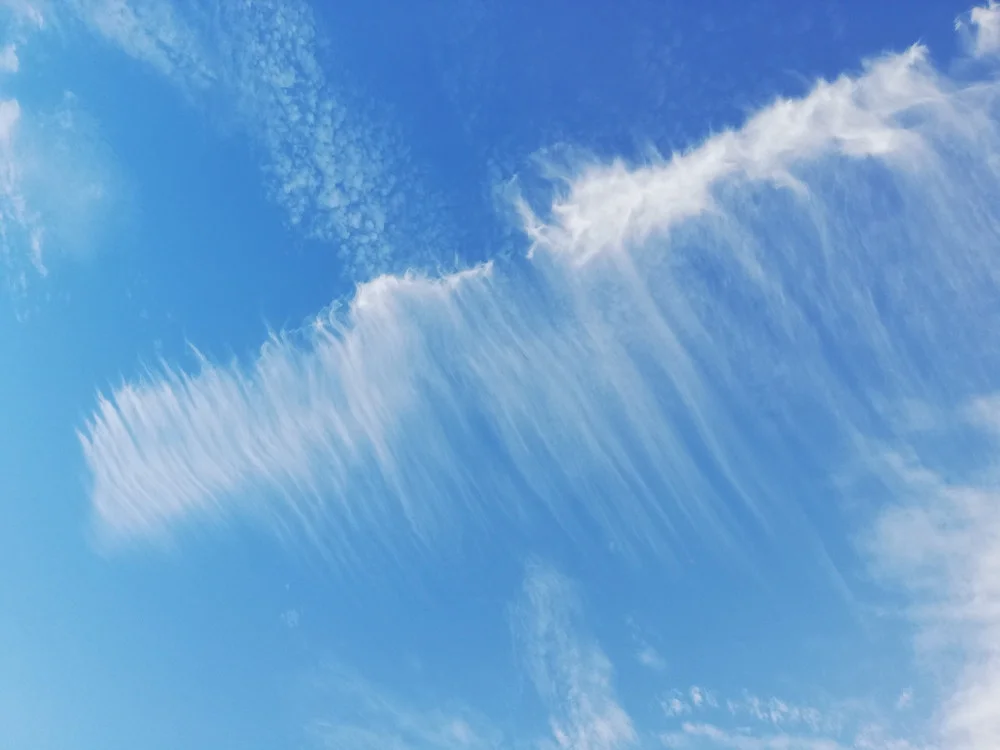 WOLKEN_20191013_165741.jpg