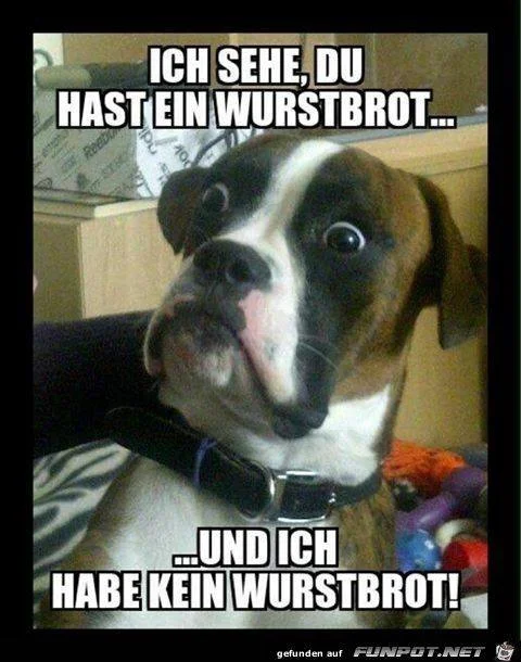 wurst.jpg