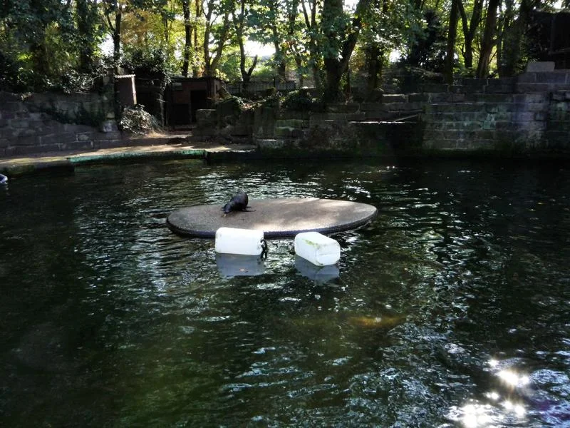 zoo 4.jpg