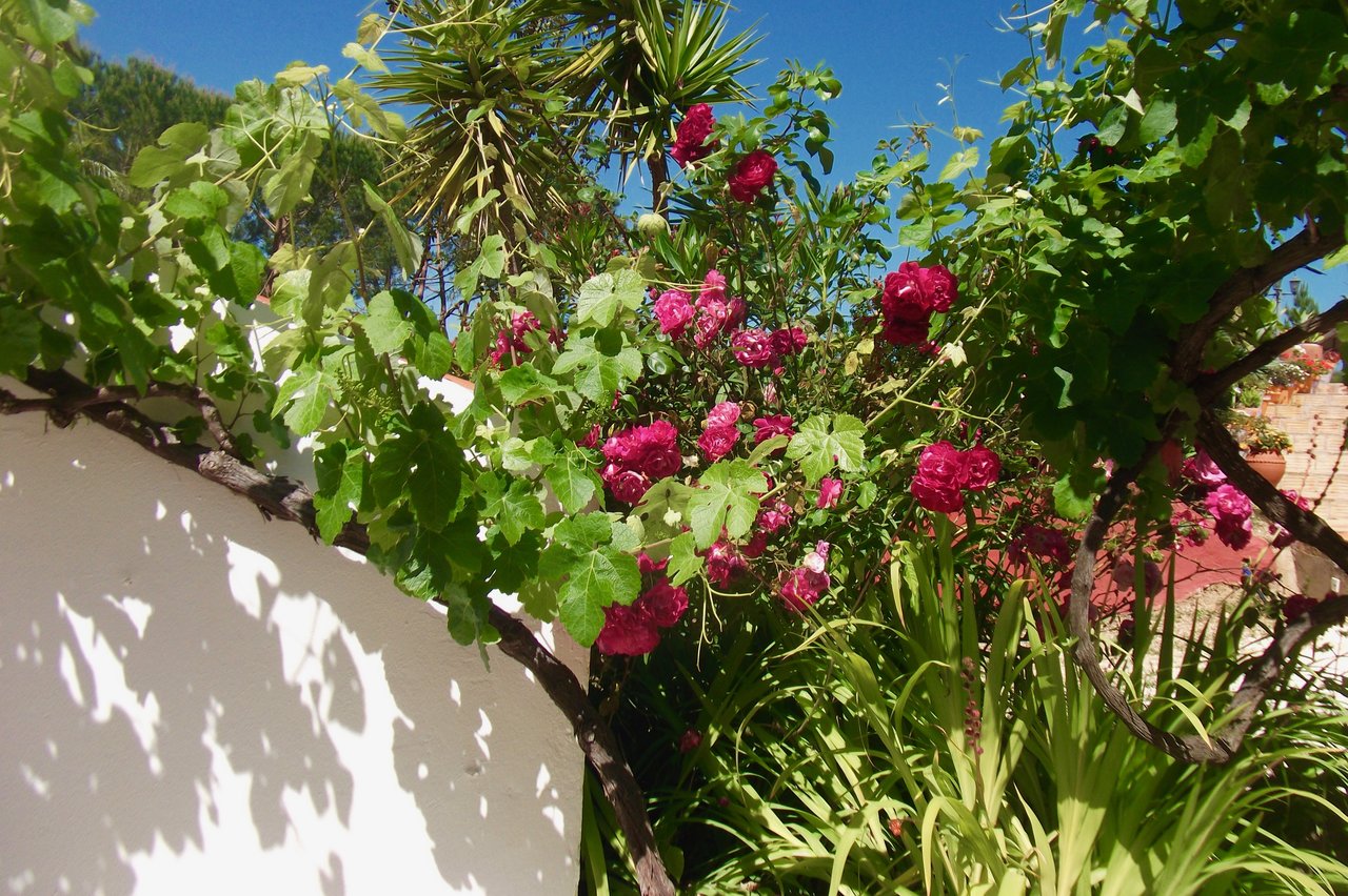 35676528vd.jpg