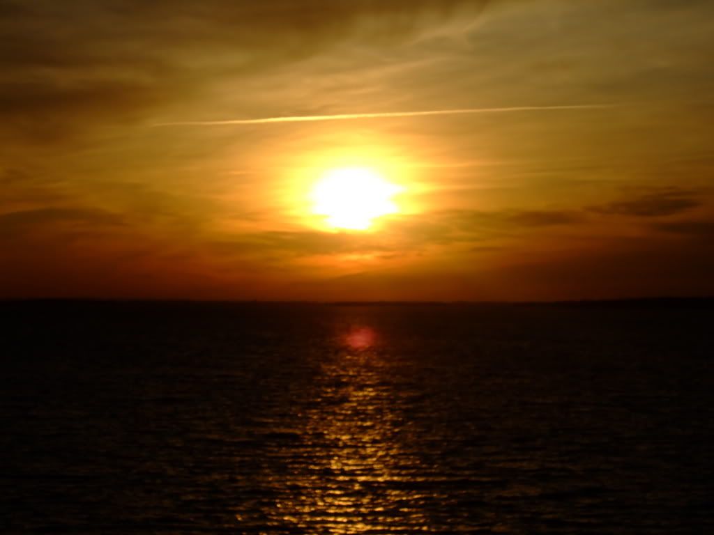 DSCF0743.jpg